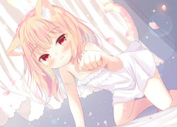  all_fours animal_ear_fluff animal_ears blonde_hair cat_day cat_ears cat_girl cat_tail female flat_chest looking_at_viewer medium_hair nightgown original petals red_eyes solo strap_slip tail umi_suzume white_nightgown 