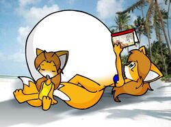  anthro belly big_belly book canid canine clothing duo female fox huge_belly hyper hyper_belly hyper_pregnancy inari_bai inari_tai mammal narrow_hips pregnant pregnant_female reading reading_book saburox sibling_(lore) sister_(lore) sisters_(lore) sleeping swimwear thin_calves thin_legs thin_thighs 