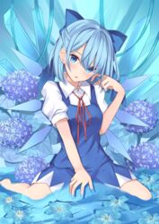  :p barefoot blue_bow blue_dress blue_eyes blue_flower blue_hair blue_theme blush bow breasts chroemaguro cirno commentary_request dress female finger_to_cheek flower full_body hairbow hand_in_own_hair head_tilt hydrangea ice ice_crystal ice_wings looking_at_viewer medium_breasts neck_ribbon partial_commentary partially_submerged puffy_short_sleeves puffy_sleeves red_ribbon ribbon short_hair short_sleeves sitting solo tongue tongue_out touhou wariza water wings 