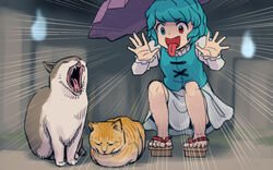  :d blue_eyes blue_hair blue_vest cat_loaf commentary_request emphasis_lines feline female geta heterochromia hitodama juliet_sleeves karakasa_obake long_sleeves meimaru_inuchiyo open_hands open_mouth palms puffy_sleeves purple_umbrella red_eyes sandals short_hair skirt smile squatting tatara_kogasa tongue tongue_out touhou umbrella v-shaped_eyebrows vest white_skirt yawning 