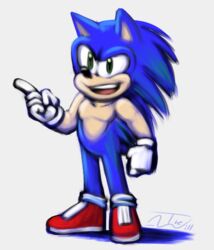  anthro biped clothing digital_media_(artwork) eulipotyphlan footwear hedgehog male mammal sega shoes solo sonic_the_hedgehog sonic_the_hedgehog_(series) thewill 