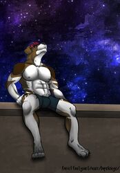  2018 anthro biceps brown_body brown_fur canid canine canis clothed clothing detailed_background digital_media_(artwork) domestic_dog fur hair hi_res horn looking_at_viewer lupelongo male mammal muscular muscular_anthro muscular_male nipples sky solo star starry_sky text underwear url 