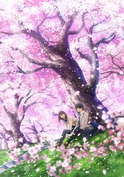  kimi_no_suizou_wo_tabetai tagme yamauchi_sakura 