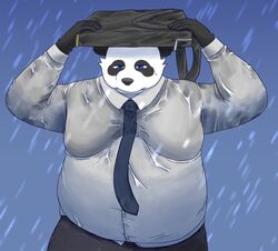  2022 anthro bari_mu bear belly big_belly black_body black_nose briefcase clothing giant_panda hi_res humanoid_hands kemono male mammal moobs necktie outside overweight overweight_male raining shirt solo topwear wet wet_clothing wet_shirt wet_topwear white_body 