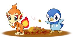  blue_eyes chimchar closed_mouth commentary_request fire grey_eyes leaf no_humans official_art piplup pokemon pokemon_(creature) project_pochama standing toes white_background 