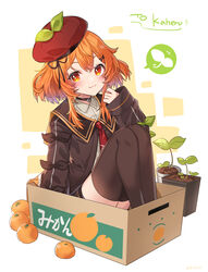  :3 beret black_thighhighs box cardboard_box choker closed_mouth female hat highres indie_virtual_youtuber kaheru_(vtuber) kgr long_sleeves looking_at_viewer necktie orange_eyes orange_hair plant sitting sleeves_past_wrists solo thighhighs virtual_youtuber 