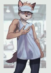  absurd_res anthro canid canine cellphone clothed clothing electronics fox fur hair hat headgear headwear hi_res holding_cellphone holding_object holding_phone holding_smartphone looking_at_viewer male mammal manadezimon phone smartphone solo tail 