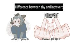  16:9 2022 anthro beastars blue_clothing blue_shirt blue_topwear bodily_fluids canid canine canis clothed clothing digital_media_(artwork) domestic_rabbit duo dwarf_rabbit english_text female fully_clothed fur gesture hand_gesture haru_(beastars) humor koko2unite lagomorph larger_male legoshi_(beastars) leporid male mammal meme middle_finger oryctolagus parody rabbit redraw shirt shy shy_vs._introvert size_difference smaller_female tears tenting text topwear widescreen wolf worried 