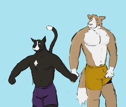  anthro beach beachwear body_hair bottomwear bulge canid canine canis clothed clothing date dickinoatmeal digital_media_(artwork) domestic_cat domestic_dog duo felid feline felis fur hand_holding happy_trail hi_res humanoid male male/male mammal muscular muscular_male navel nervous nipples pecs piercing raised_tail shorts shorts_only simple_background simple_coloring size_difference tail topless white_body white_fur 