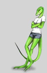  absurd_res allfluffyears anole anthro bottomwear breasts carolina_anole cleo clothed clothing female hi_res lizard non-mammal_breasts reptile scalie shorts snout solo yiffpunk 