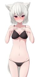  animal_ears aono_meri bad_id bad_twitter_id bikini black_bikini blush female full-face_blush highres inubashiri_momiji looking_down midriff navel no_headwear panties red_eyes short_hair simple_background solo sweatdrop swimsuit tail touhou underwear white_background white_hair wolf_ears wolf_tail 