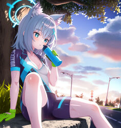  animal_ear_fluff animal_ears bike_jersey bike_shorts black_shorts blue_archive blue_eyes blue_halo blush bottle breasts cloud cloudy_sky collarbone cross_hair_ornament extra_ears feet_out_of_frame female gloves green_gloves grey_hair hair_between_eyes hair_ornament halo highres holding holding_bottle medium_breasts medium_hair mismatched_pupils mutsuse official_alternate_costume open_mouth outdoors road_sign shiroko_(blue_archive) shiroko_(cycling)_(blue_archive) short_sleeves shorts sign sitting sky solo sweat tree wolf_ears 