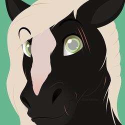  1:1 2018 aidan_(apollo13) ambiguous_form black_body black_ears black_face black_fur blaze_(marking) digital_media_(artwork) equid equine eye_scar eyebrow_through_hair eyebrows facial_markings facial_scar fur green_background green_eyes hair head_markings headshot_portrait hi_res horse icon long_hair looking_at_viewer male mammal markings monotone_hair multicolored_face portrait scar simple_background smile snout solo translucent translucent_hair two_tone_face white_body white_face white_fur white_hair xblueashesx 