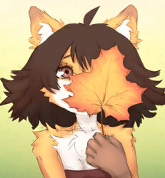  anthro astra_maple canid canine clothing elronya female fox leaf mammal outside solo tagme topwear 