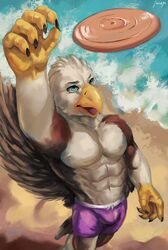  accipitrid accipitriform anthro avian beach beak bird brown_body brown_feathers bulge claws clothed clothing countershade_torso countershading eagle feathers feet frisbee hi_res juiceps male outside sand sea seaside solo swimming_trunks swimwear talons toes topless topless_male water white_body white_feathers 