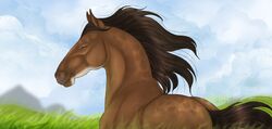  2019 ambiguous_gender brown_body brown_hair brown_tail closed_eyes digital_media_(artwork) dolero equid equine eyelashes feral grass hair half-length_portrait happy horse huskii-s mammal mane plant portrait smile solo tail 