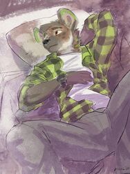  2020 3:4 5_fingers anthro banzay brown_body brown_eyes brown_fur clock clothed clothing digital_media_(artwork) fingers fur hi_res hyena koul lying male mammal on_back solo watch wristwatch 