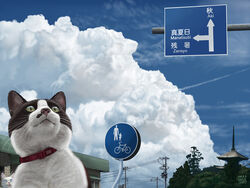  blue_sky building cloud cloudy_sky dated day feline matataku no_humans original outdoors plant sign sky surprised_cat_(matataku) 