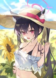  animal_ear_fluff animal_ears bare_shoulders bikini black_bikini black_hair blue_archive breasts cat_ears cat_girl cleavage collarbone female flower hair_between_eyes halak0000 halo hat highres holding holding_flower long_hair looking_at_viewer medium_breasts midriff navel off-shoulder_shirt off_shoulder open_mouth outdoors pink_hat red_eyes serika_(blue_archive) shirt solo sun_hat sunflower sweatdrop swimsuit twintails twirling_hair very_long_hair white_shirt 