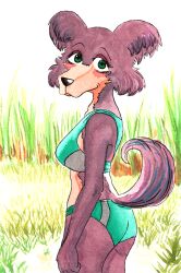  5_fingers absurd_res anthro beastars blush breasts brown_body brown_fur canid canine canis cheek_tuft claws clothing cloud collarbone countershade_face countershade_fur countershade_torso countershading efradraws eyebrows eyelashes facial_tuft female finger_claws fingers fluffy fluffy_tail fur green_eyes hi_res humanoid_hands juno_(beastars) looking_at_viewer mammal meme midriff multicolored_body multicolored_fur one-piece_swimsuit outside painting_(artwork) panties purple_eyes sea seaside sky smile smiling_at_viewer solo swimwear tail tan_body tan_fur traditional_media_(artwork) traditional_painting_(artwork) traditional_watercolor_(artwork) tuft two_tone_body two_tone_fur underwear water watercolor_(artwork) wolf wolf_tail 
