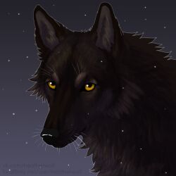  1:1 ambiguous_feral ambiguous_gender black_nose brown_body brown_fur canid canine canis cheek_tuft facial_tuft feral fur glistening glistening_eyes heatherwolf hi_res looking_at_viewer mammal mouth_closed neck_tuft simple_background solo star tuft whiskers wolf yellow_eyes 