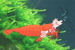  ambiguous_gender anthro arthropod crustacean felid feral hi_res male mammal marine micro phytophile shrimp transformation 
