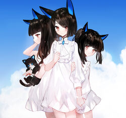  :o animal animal_ears black_hair blush brown_eyes cat_ears closed_mouth dress eyebrows feline highres holding holding_animal holding_cat juexing_(moemoe3345) long_hair looking_at_viewer original photoshop_(medium) ponytail short_hair smile white_dress 