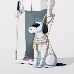  1boy :3 animal_focus avogado6 cane canine commentary english_commentary grey_pants guide_dog holding holding_cane holding_leash leash non-humanoid_robot original pants robot robot_animal robot_dog shirt white_cane white_shirt 