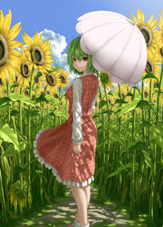  cloud commentary_request day female field flower flower_field from_behind garden_of_the_sun green_hair highres kazami_yuuka looking_back outdoors plaid plaid_skirt plaid_vest red_eyes revision shade short_hair skirt skirt_set smile socks solo sunflower sunflower_field touhou umbrella vest wasabichan 