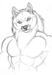 abs anthro black_and_white canid canine canis ear_piercing fur hair looking_at_viewer male mammal monochrome muscular muscular_anthro muscular_male nude piercing richard_foley simple_background sketch smile solo white_background wolf