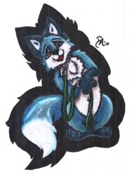 :3 alpha_channel begging begging_pose blue_body blue_fur border bracelet brown_eyes canid canine chest_tuft chibi collar colored_pencil_(artwork) countershading daelyhelaxon dipstick_tail ears_up feral fluffy fluffy_tail fox fur head_tilt jewelry leash leg_markings low_res male mammal markings multicolored_tail nude open_mouth pose red_tongue ring simple_background socks_(marking) solo tail tail_markings tongue tongue_out traditional_media_(artwork) transparent_background tuft two_tone_tail white_body white_countershading white_fur