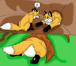 ambiguous_gender canid canine den duo feral fox mammal matchboxking stuck tail