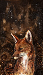 2010 ambiguous_gender canid canine culpeofox feral fox mammal night red_fox sky solo star starry_sky true_fox