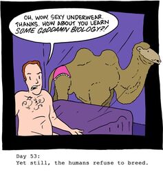 ambiguous_gender bactrian bed camel camelid clothed clothing comic dialogue duo english_text fatty_humps feral furniture human low_res male mammal nude on_bed panties saturday_morning_breakfast_cereal sitting speech_bubble text toony topless underwear zach_weiner