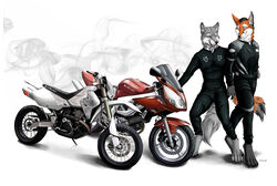 anthro canid canine canis clothed clothing digital_media_(artwork) dirt_bike domestic_dog duo fox fully_clothed leather male male/male mammal motorcycle simple_background suit suzuki tail truegrave9 vehicle white_background wolf