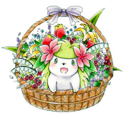 ambiguous_gender back_plant back_shrub basket bow_(decoration) bow_(feature) bow_ribbon container daww digital_media_(artwork) digital_painting_(artwork) elemental_creature feral flora_fauna flower flower_(anatomy) flower_basket generation_4_pokemon head_flower in_basket in_container land_forme_shaymin legendary_pokemon nintendo plant pokemon pokemon_(species) shaymin simple_background solo wataame white_background