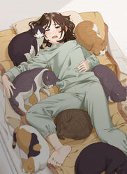  barefoot black_cat blush brown_cat brown_hair calico commentary_request eyelashes feet feline female foot_out_of_frame green_pajamas green_pants green_shirt hand_on_own_stomach indoors long_sleeves lying mattaku_mousuke medium_hair messy_hair on_back on_bed one_eye_closed open_mouth original pajamas pants parted_bangs pillow shadow shirt sidelocks soles solo tabby_cat toes too_many too_many_cats tuxedo_cat 