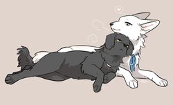  2023 ambiguous_gender berger_blanc_suisse bird_dog black_body black_fur black_nose black_tail blue_eyes blue_ribbon canid canine canis closed_smile cody_(tsukune_minaga) digital_media_(artwork) domestic_dog duo ellipsis felicia_(tsukune_minaga) female_(lore) feral flat_coated_retriever floppy_ears fluffy fluffy_tail fur heart_symbol herding_dog hunting_dog leaning_on_another lop_ears lying male_(lore) mammal monotone_body monotone_fur mouth_closed name_tag on_front on_side pastoral_dog pink_inner_ear prick_ears quadruped retriever side_by_side signature smile speech_bubble tail tsukune_minaga white_body white_fur white_tail yellow_eyes 