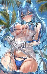  ass_visible_through_thighs bikini bikini_under_clothes blue_bikini blue_eyes blue_hair blush breasts commentary_request day female goddess_of_victory:_nikke helm_(aqua_marine)_(nikke) helm_(nikke) highres himonoata large_breasts long_hair long_sleeves looking_at_viewer official_alternate_costume outdoors ponytail see-through solo swimsuit water wet wet_clothes wringing_clothes 