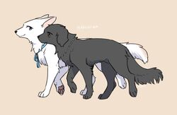  2023 ambiguous_gender berger_blanc_suisse bird_dog black_body black_fur black_tail blue_eyes blue_ribbon canid canine canis closed_smile cody_(tsukune_minaga) digital_media_(artwork) domestic_dog duo felicia_(tsukune_minaga) female_(lore) feral flat_coated_retriever floppy_ears fluffy fluffy_tail fur herding_dog hunting_dog lop_ears male_(lore) mammal monotone_body monotone_fur mouth_closed pastoral_dog pawpads pink_inner_ear pink_pawpads prick_ears quadruped retriever romaji_text side_by_side smile tail text tsukune_minaga walking walking_together white_body white_fur white_tail yellow_eyes 