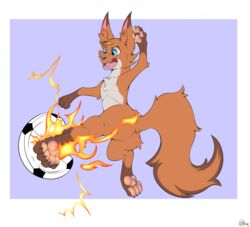  2023 ass ball canid canine chest_tuft claws ears_up fangs feral fire flaming_kick fox fur hi_res inner_ear_fluff jimfoxx kick kicking_ball male mammal midair open_mouth paws signature soccer_ball solo teeth tongue tuft wide_eyed 