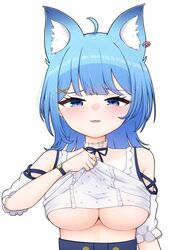  ahoge animal_ear_fluff animal_ear_piercing animal_ears black_ribbon blue_eyes blue_hair blush breasts clothes_lift clothing_cutout commentary_request dog_ears dog_girl earrings female frilled_shirt frills jewelry k_(ve_do_9k) large_breasts lifting_own_clothes looking_at_viewer medium_bangs medium_hair nanashi_inc. neck_ribbon official_alternate_costume open_mouth ribbon shirt shirt_lift short_sleeves shoulder_cutout simple_background single_earring smile solo souya_ichika souya_ichika_(5th_costume) underboob upper_body virtual_youtuber watch white_background white_shirt wristwatch 