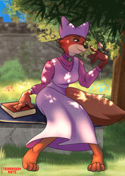  4_fingers 4_toes anthro avian barefoot bird book canid canine clothed clothing disney feet female fingers fox hi_res maid_marian mammal paws red_fox robin_hood_(disney) solo terragon toes true_fox 