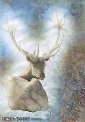 2009 antlers deer feral full-length_portrait horn khaosdog male mammal portrait solo traditional_media_(artwork)