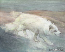 2009 ambiguous_gender arctic_fox canid canine digitigrade feral fox full-length_portrait khaosdog mammal outside portrait quadruped side_view snow solo traditional_media_(artwork) true_fox