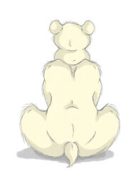 2012 ambiguous_gender anthro bear fur mammal nude polar_bear rear_view sherwood solo ursine white_body white_fur