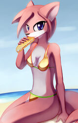 2012 anthro beach bikini blue_eyes breasts canid canine clothed clothing cloud eating female food fox hair looking_at_viewer mammal negativefox outside sand seaside skimpy sky solo swimwear tail