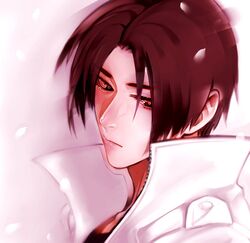  1boy bad_id bad_twitter_id brown_eyes brown_hair curtained_hair eyelashes juu_satoshi kusanagi_kyou looking_down male_focus parted_hair petals popped_collar portrait solo the_king_of_fighters the_king_of_fighters_xiv zipper 