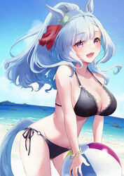  animal_ears ball beach beachball bikini black_bikini blue_hair blue_sky braid breasts cloud commentary_request crown_braid day female highres horizon horse_ears horse_girl horse_tail kitsune_yuki leaning_forward long_hair mejiro_ardan_(umamusume) ocean outdoors purple_eyes side-tie_bikini_bottom sky solo swimsuit tail umamusume 