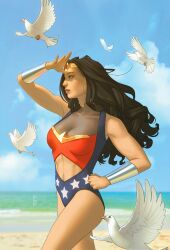  beach bird black_hair blue_sky bracer day dc_comics female highres long_hair outdoors scott_forbes sky solo tiara water white_bird wonder_woman wonder_woman_(series) 